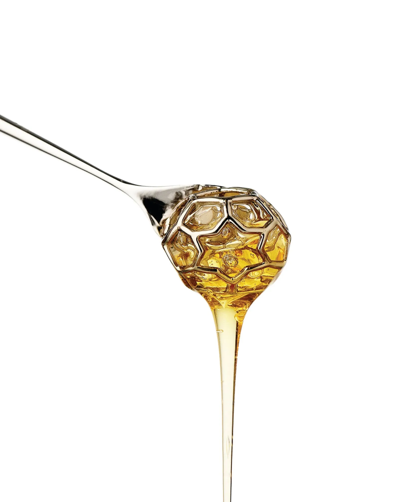 acacia