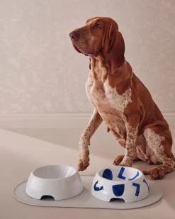 Itsumo pet