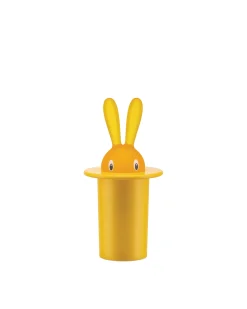 Magic Bunny