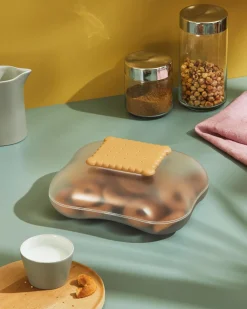 Mary Biscuit