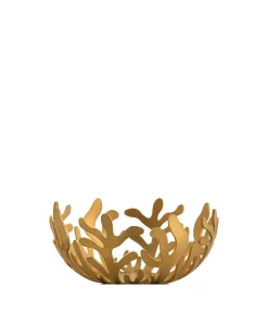 Mediterraneo