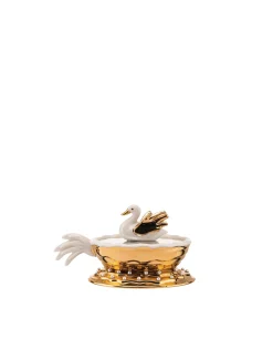 Narciso