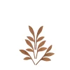 The Five Seasons